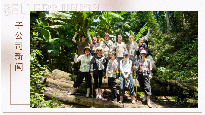 探雨林秘境，與森林同呼吸——記景馳年中西雙版納團(tuán)建旅游